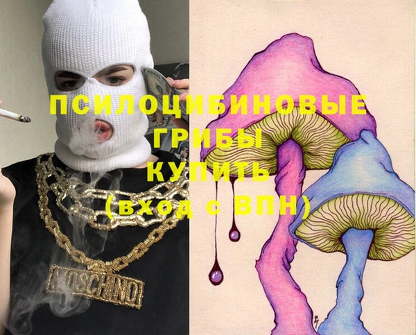 крисы Верея