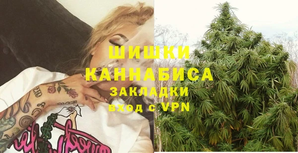 крисы Верея