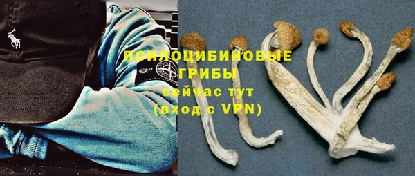 крисы Верея